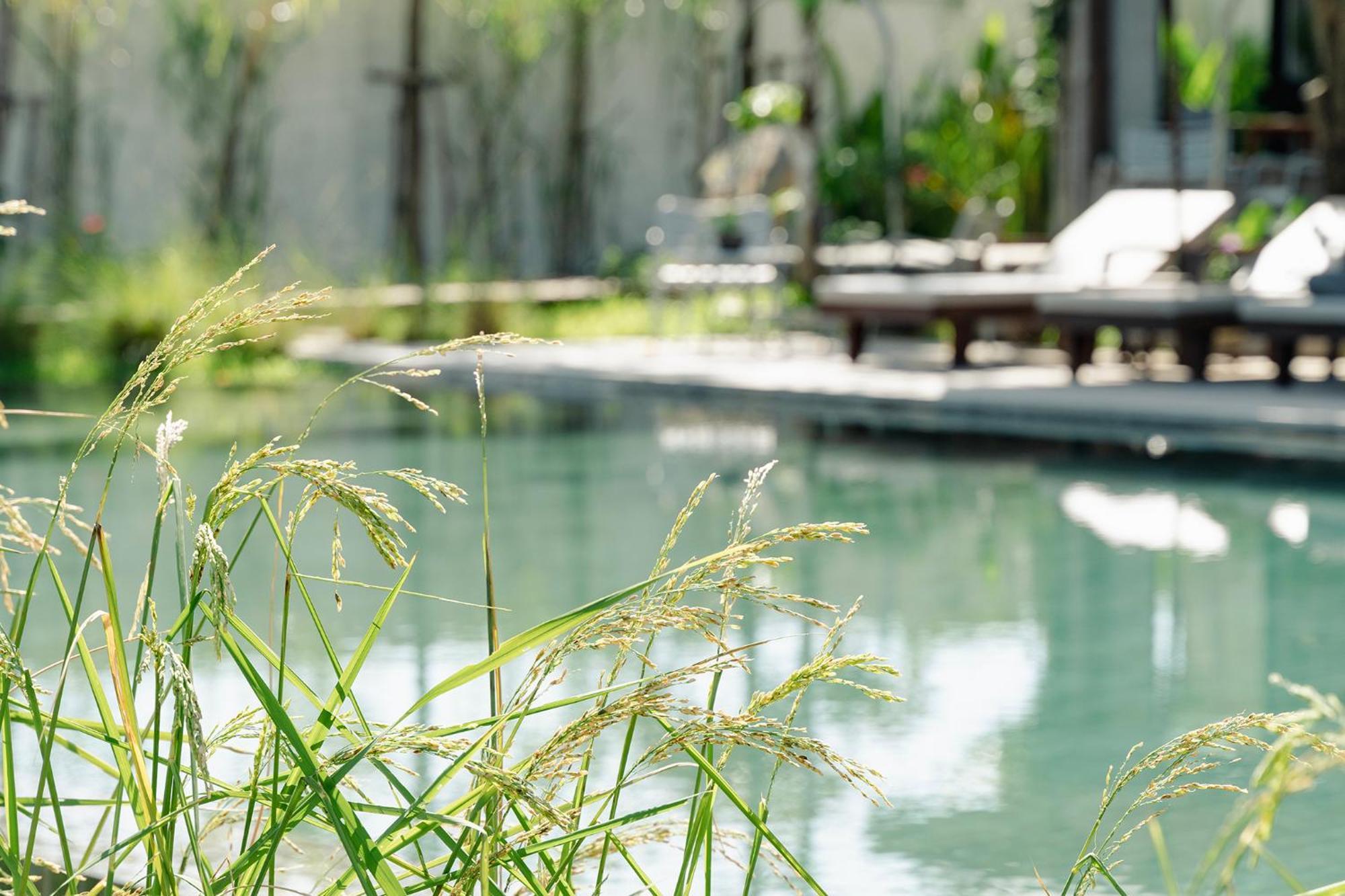 Le Chanthou Boutique Siem Reap Eksteriør bilde